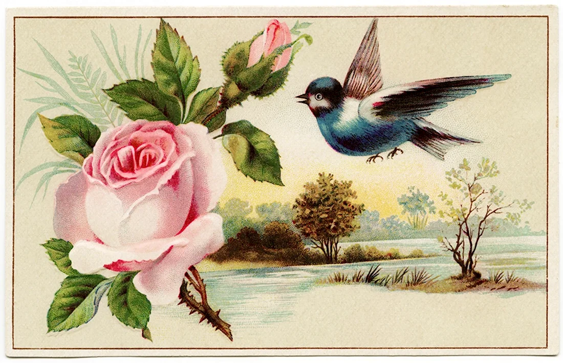 Винтажные розы с птичками