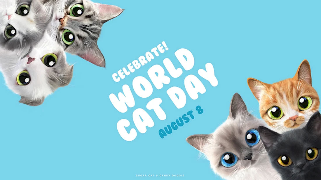 Всемирный день кошек World Cat Day