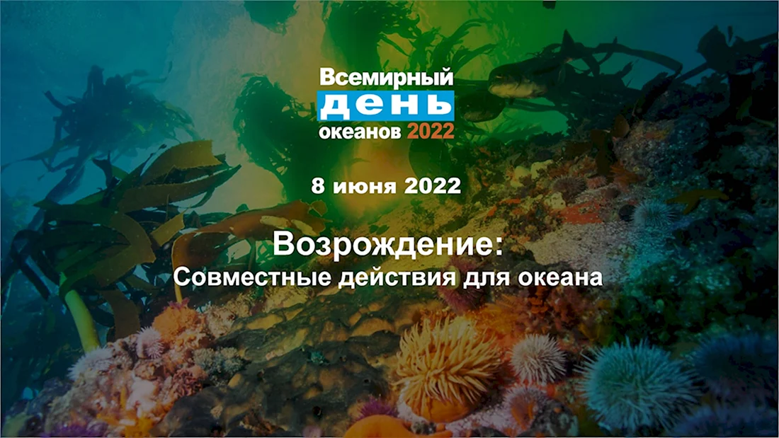 Всемирный день океанов 2022