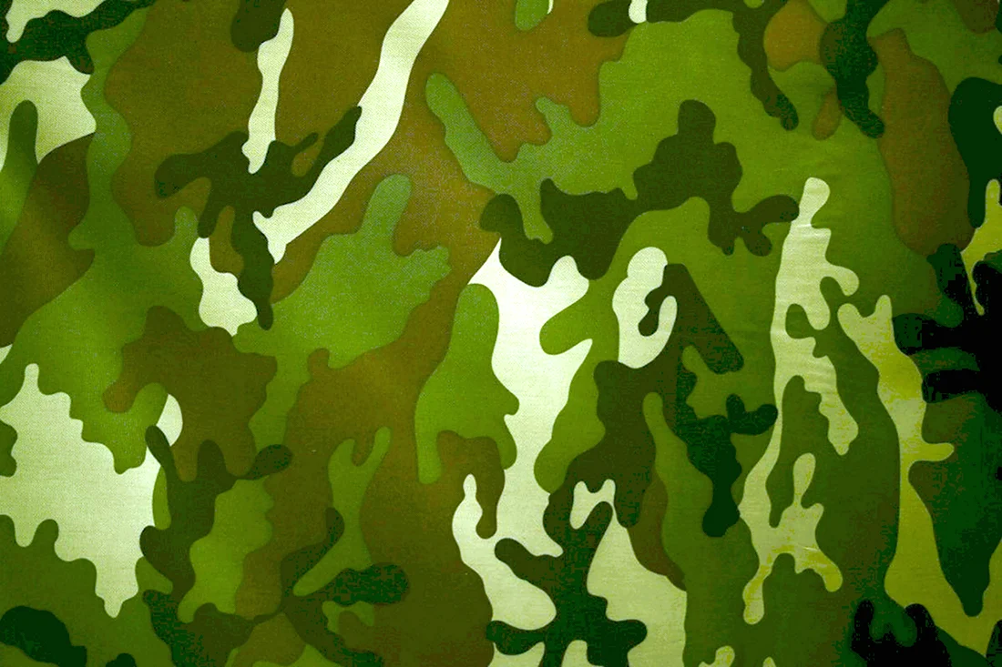 Woodland Camouflage 4r