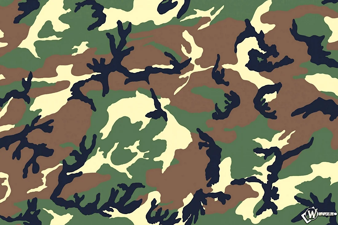 Woodland Camouflage 4r