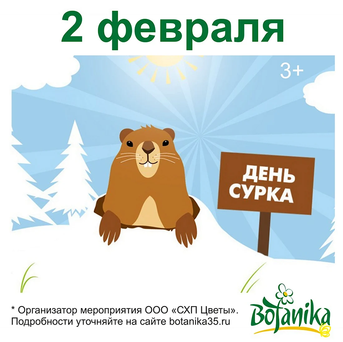 2 Февраля день сурка