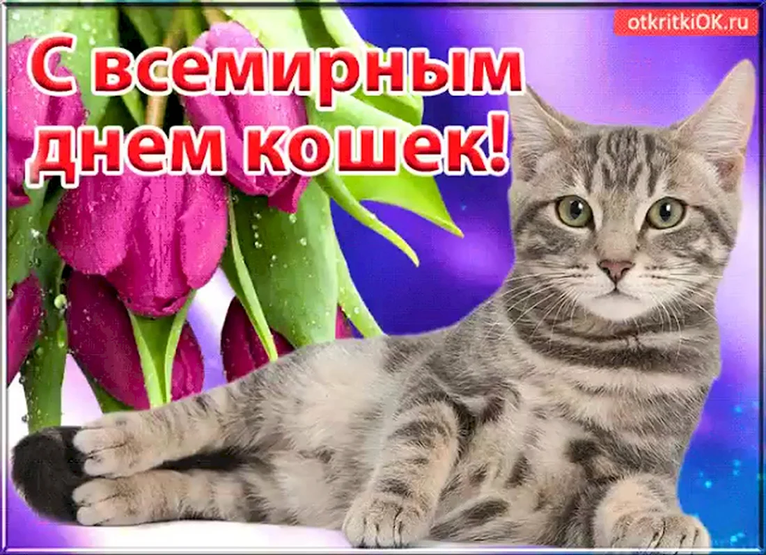 День кошек