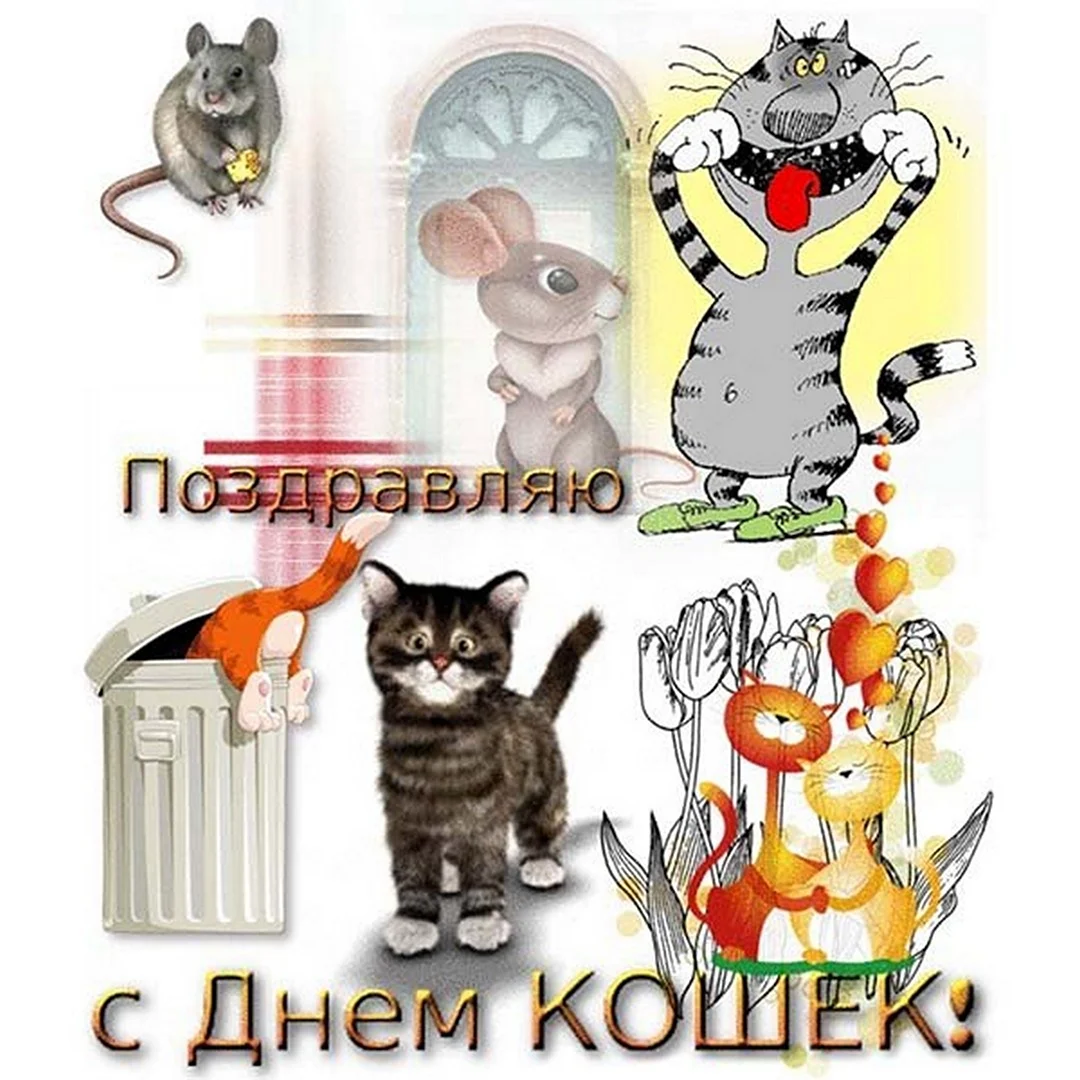 День кошек