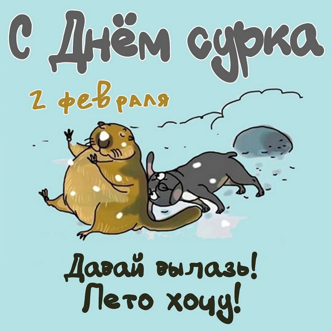 День сурка