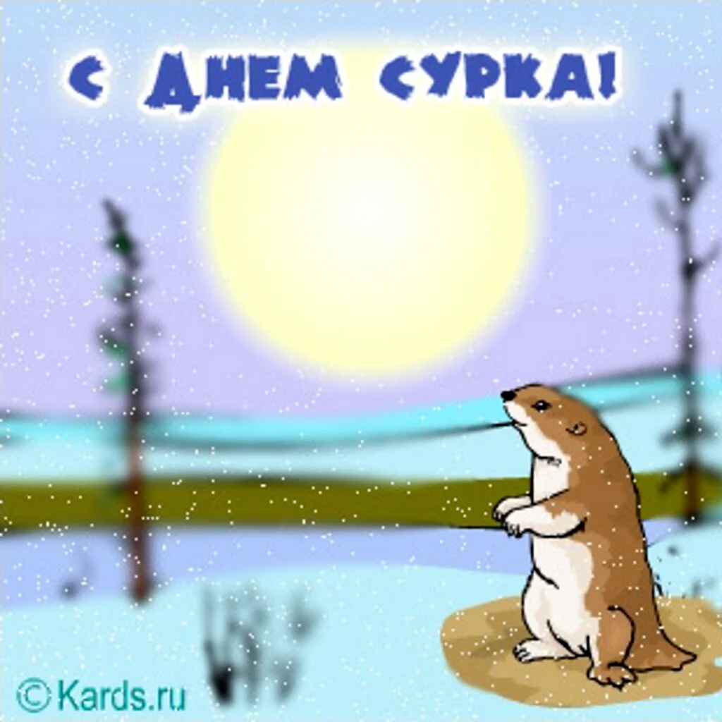 День сурка