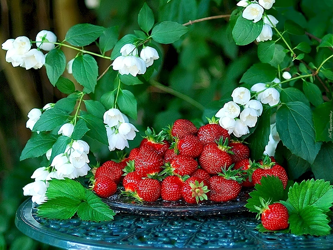 Лето пожелания. Лето ягоды. Лето ягоды цветы. Клубника.