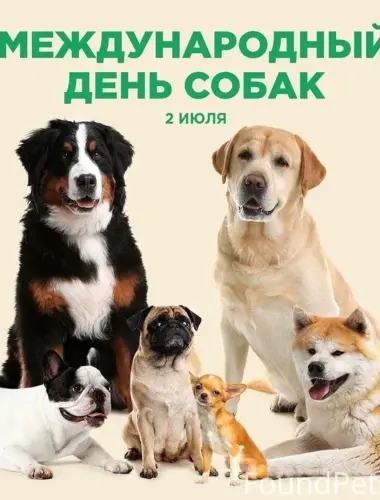 Международный день собак 2 июля
