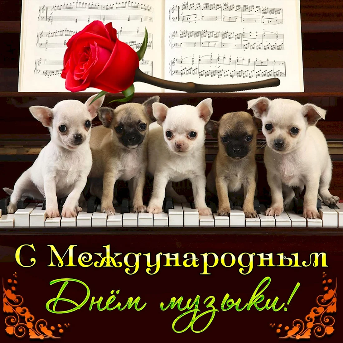 Международный день собак открытки