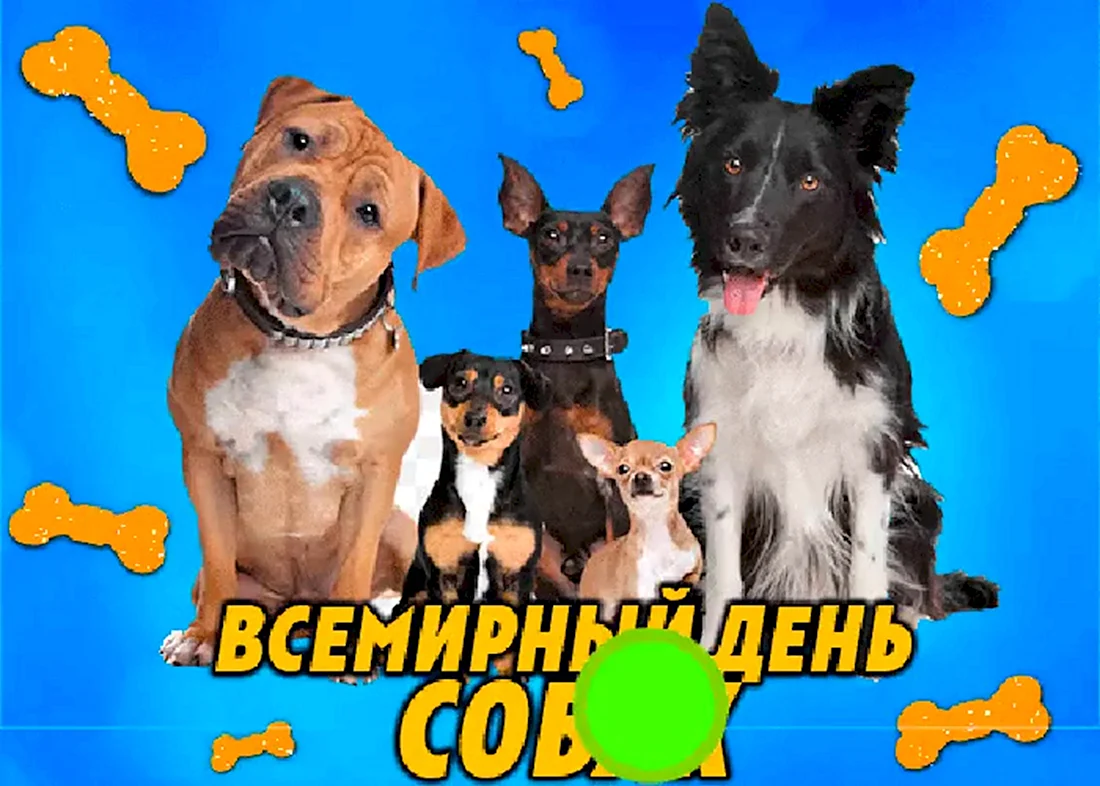 Международный день Солак