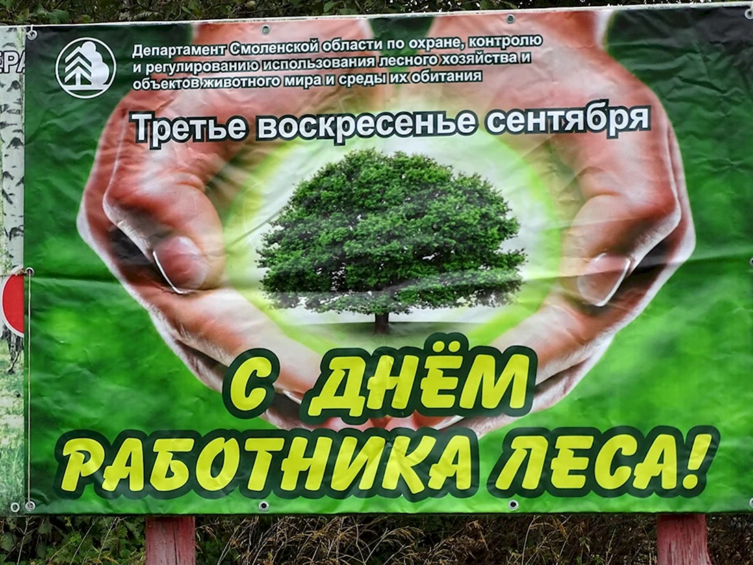 Открытки с днем леса