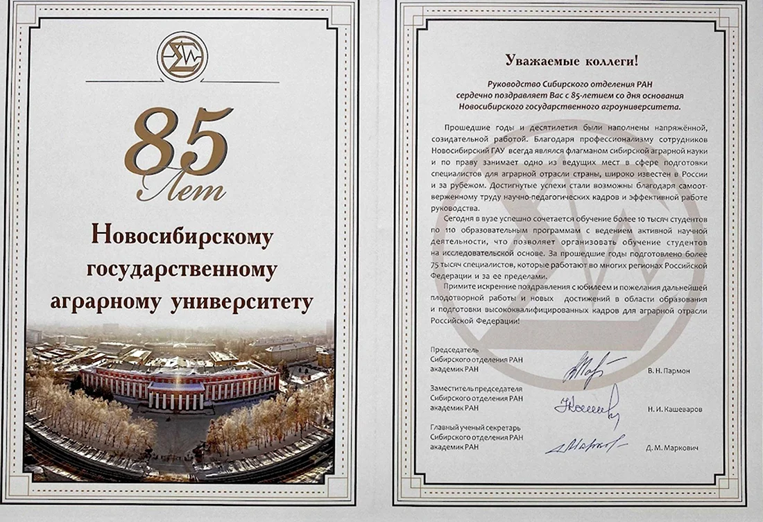 Поздравление с 85 летием