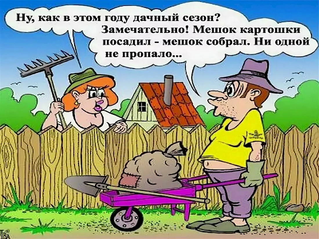 Приколы про дачу