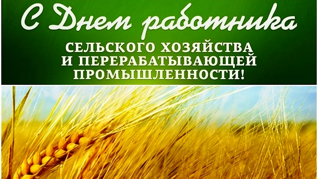 С днем работника сельского хозяйства