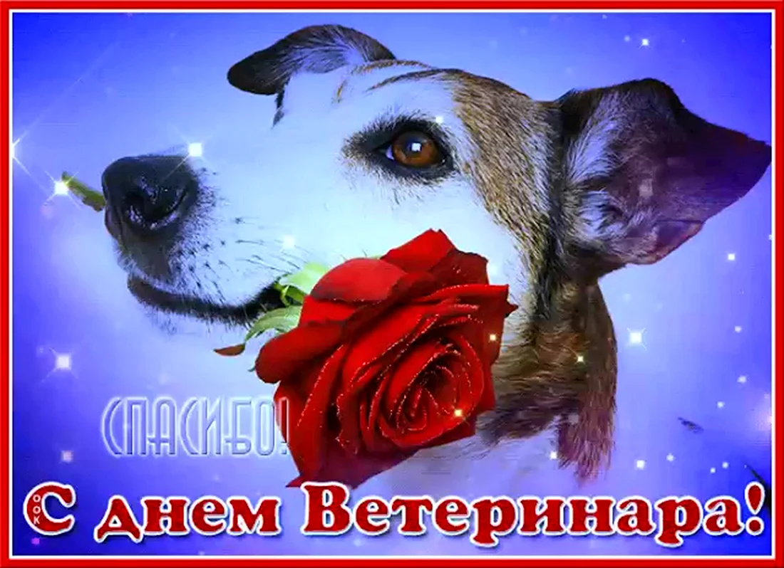 С днем ветеринара