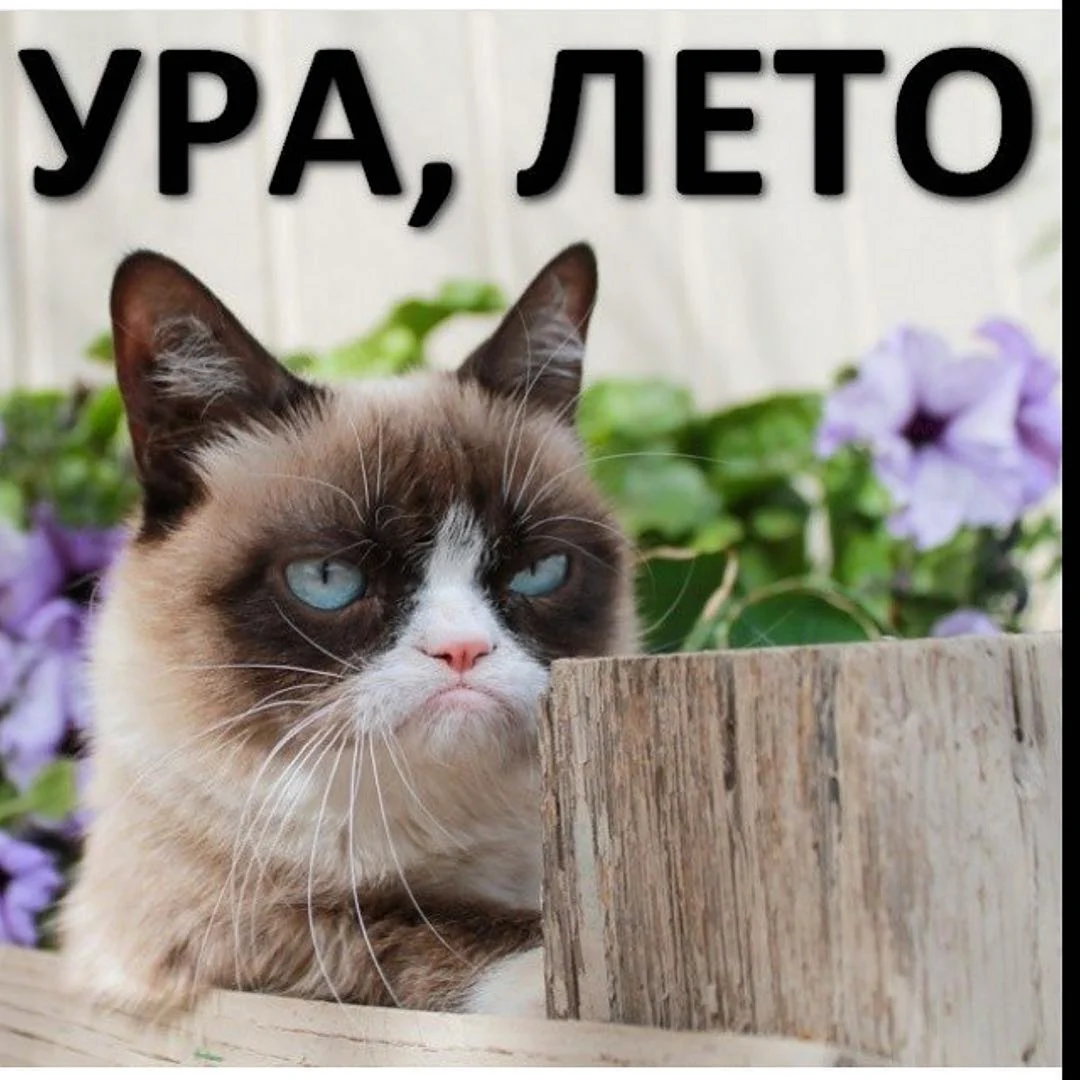 Ура лето